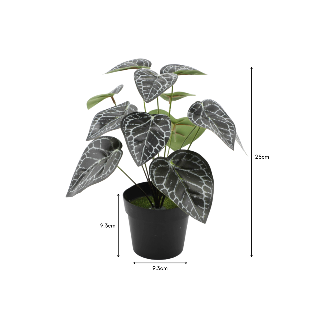 Small Artificial Anthurium Crystallinum Plant