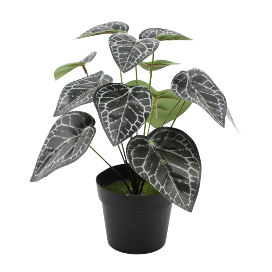 Small Artificial Anthurium Crystallinum Plant