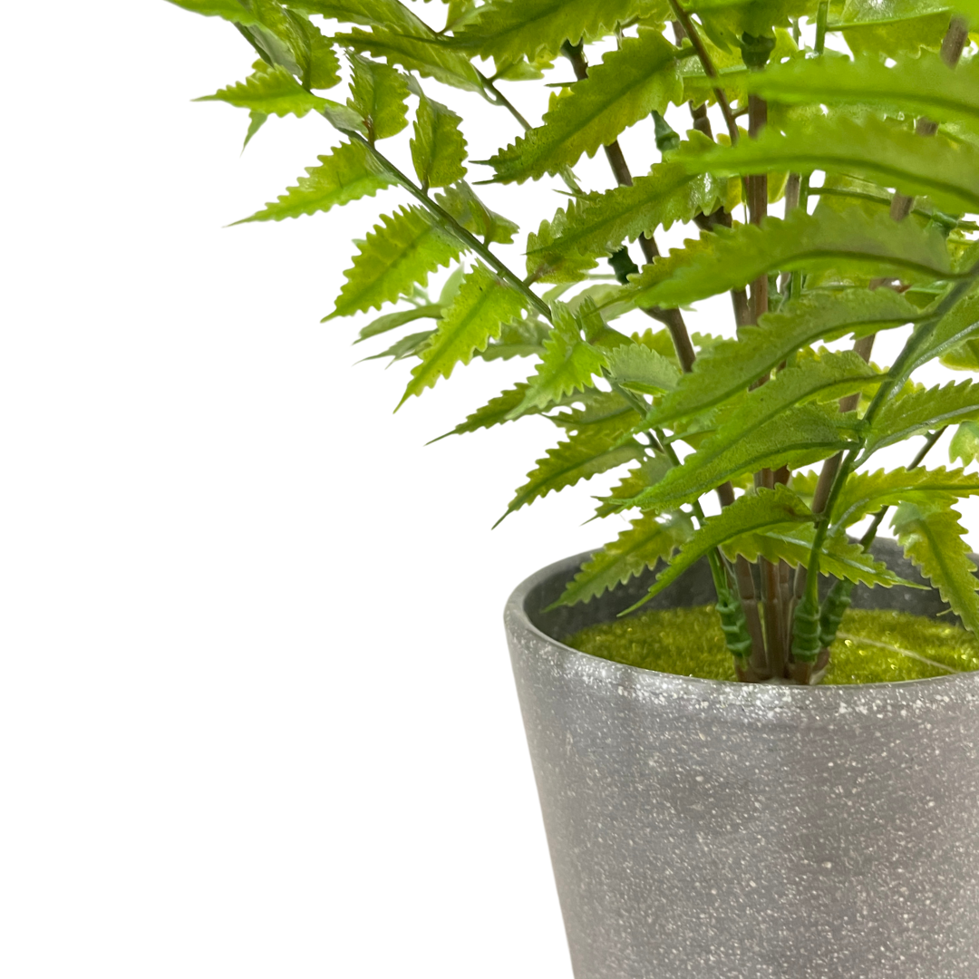 Small Potted Artificial Fern Plant