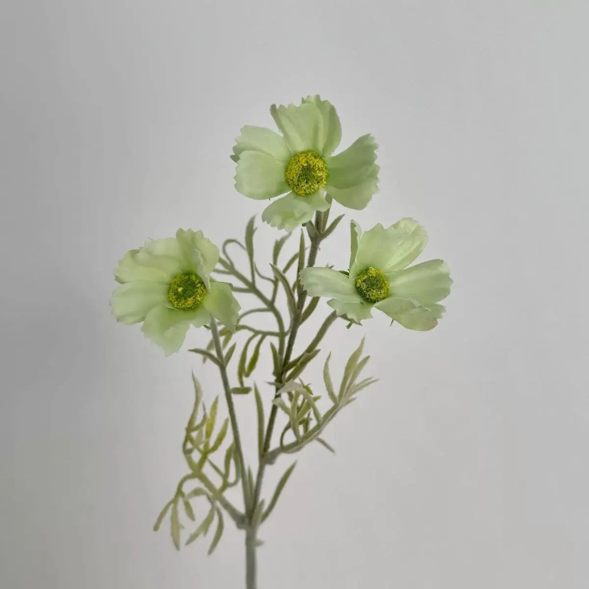 Faux Chrysanthemum Flower - Green My Store