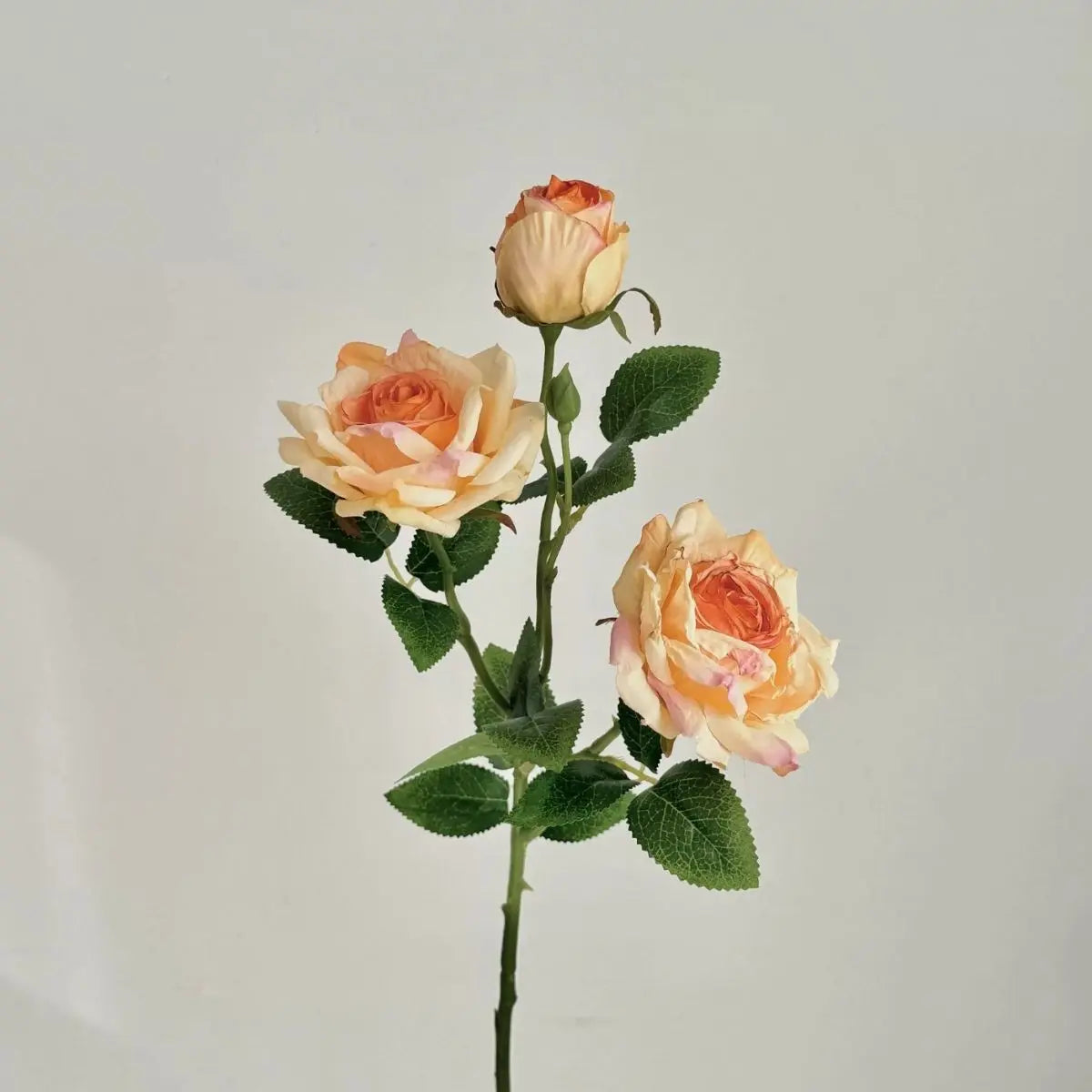 Faux Rose Flower - Champagne My Store