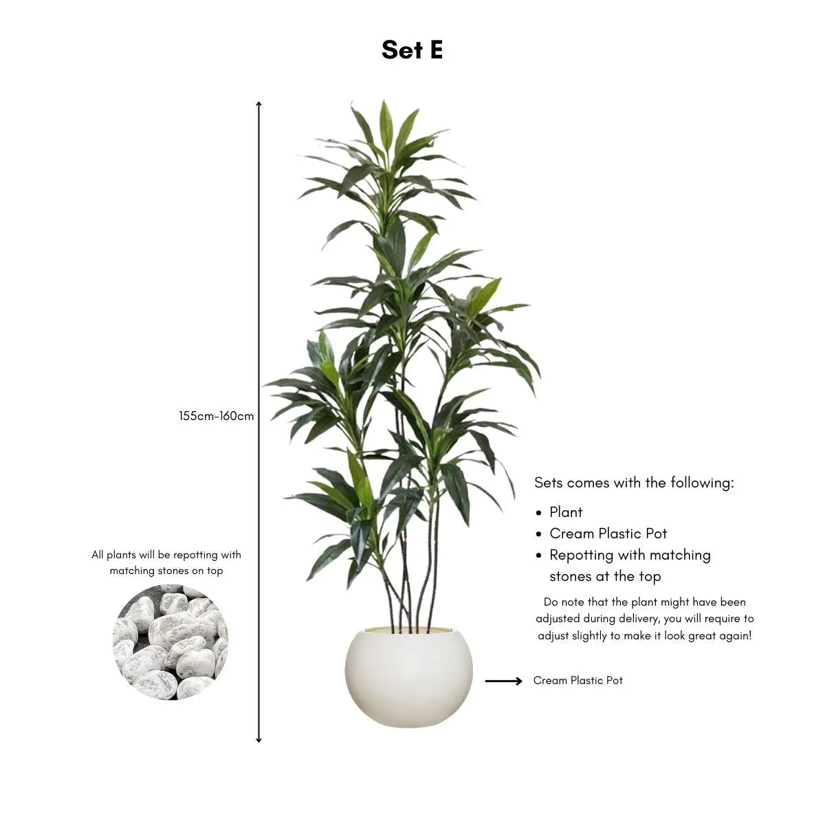 Faux Dracena Swan Plant My Store