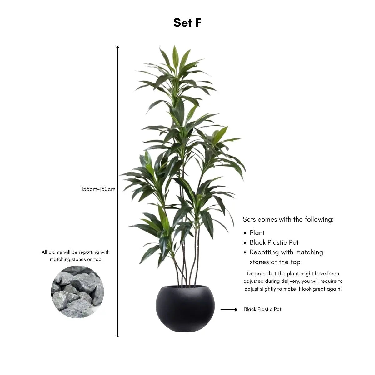 Faux Dracena Swan Plant My Store