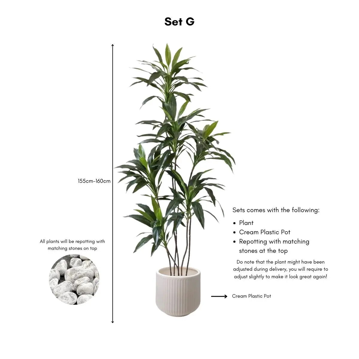 Faux Dracena Swan Plant My Store