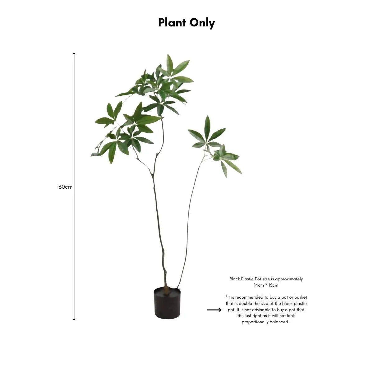 Faux Pachira Money Tree My Store