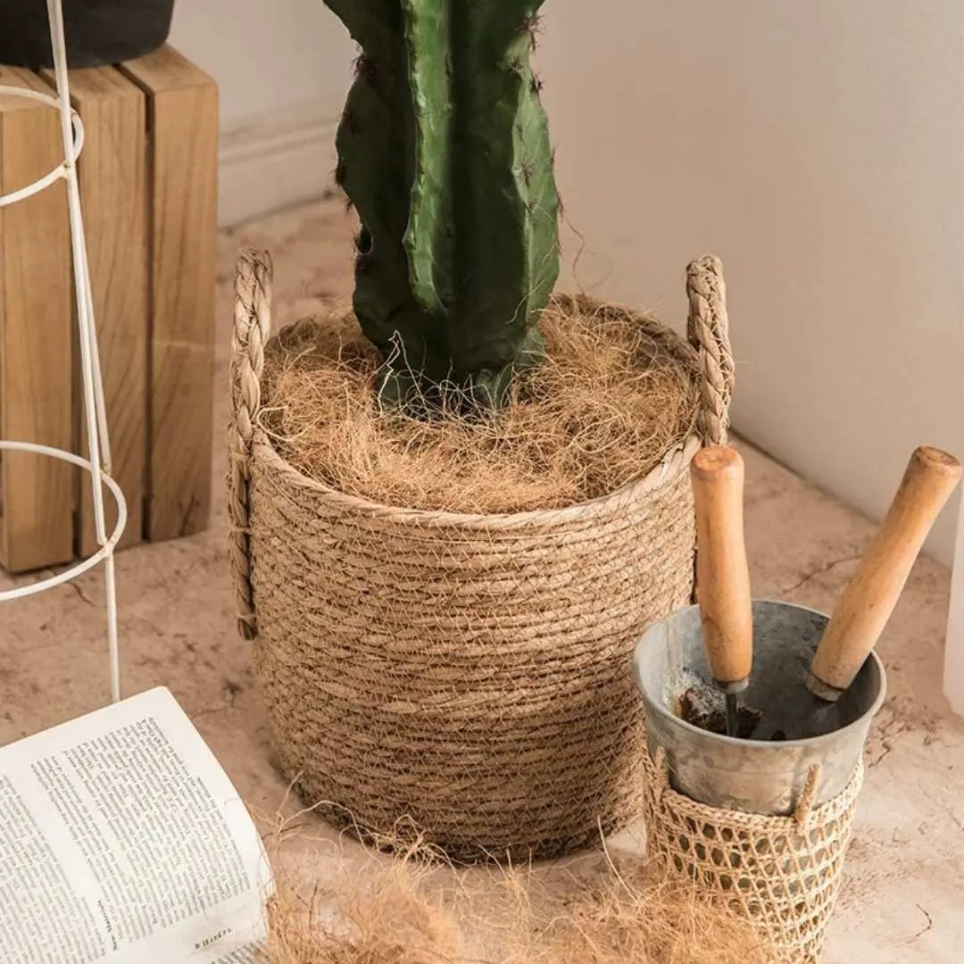 Norea Hand Made Seagrass Woven Plant Basket-Speckled Space