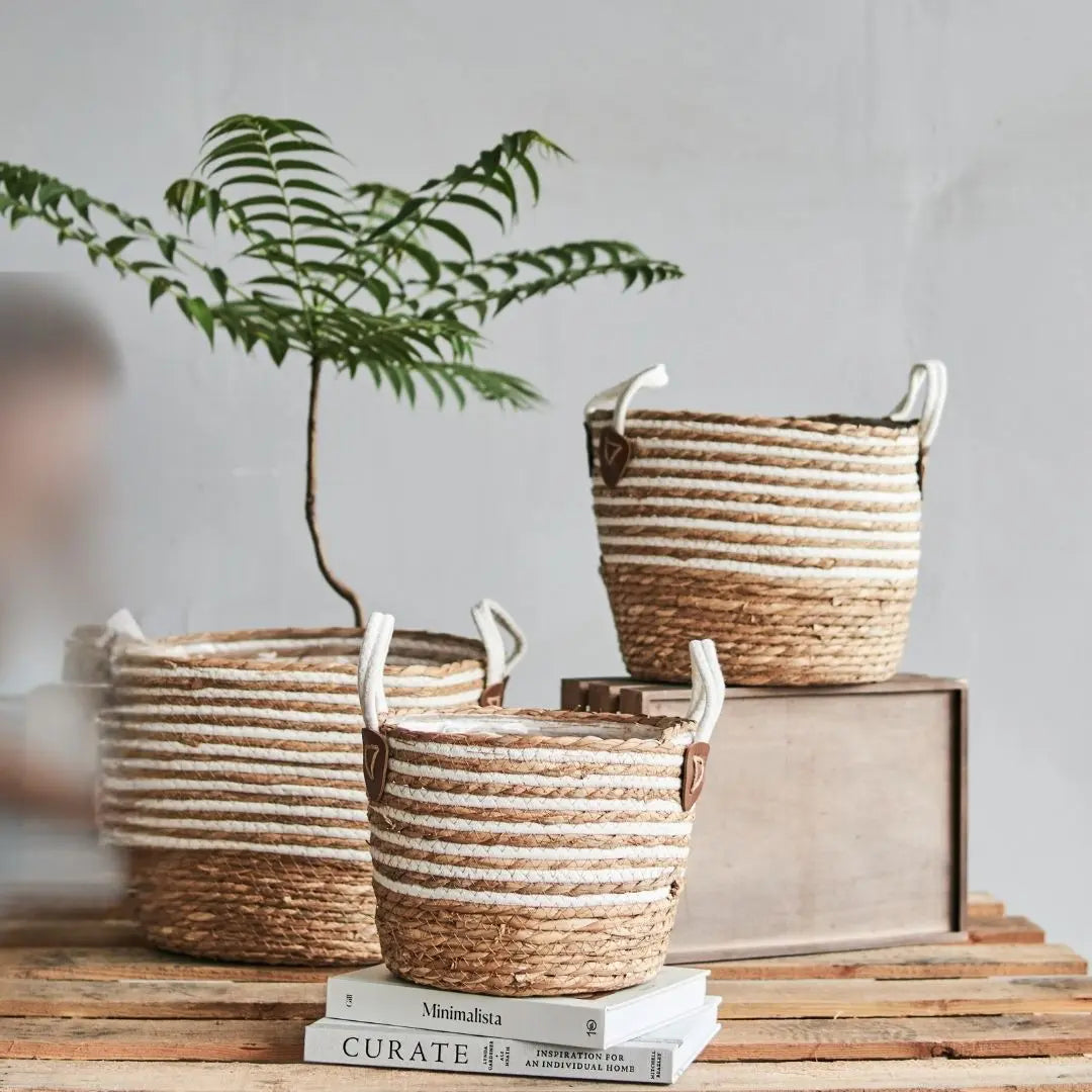 Olla Hand Made Seagrass Woven Plant Basket-Speckled Space