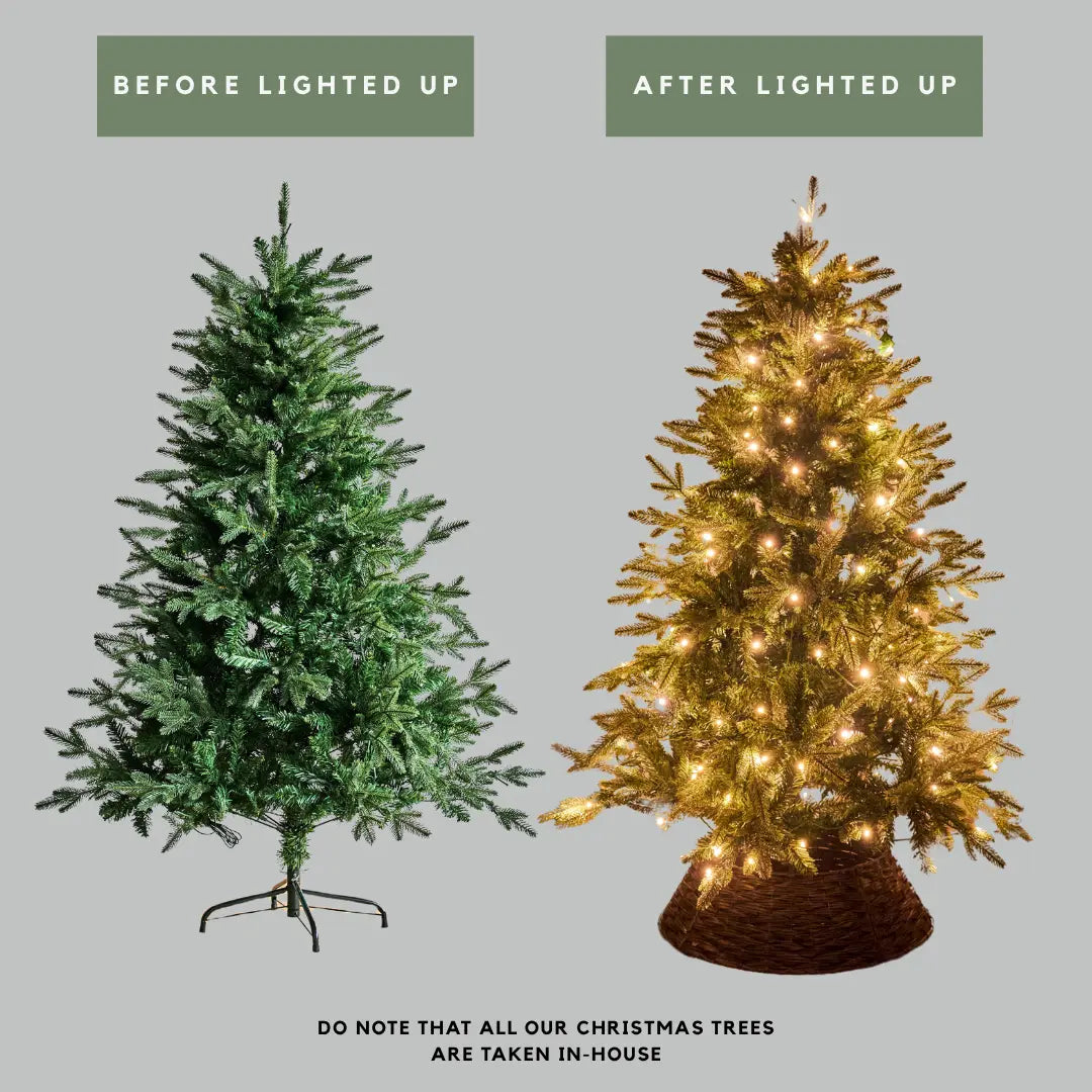 Affordable pre lit Christmas tree with built in LED lights Singapore