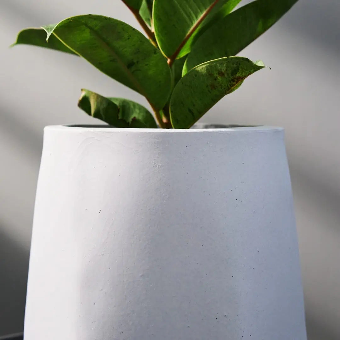 Pylota Concrete Flower Pot-Speckled Space
