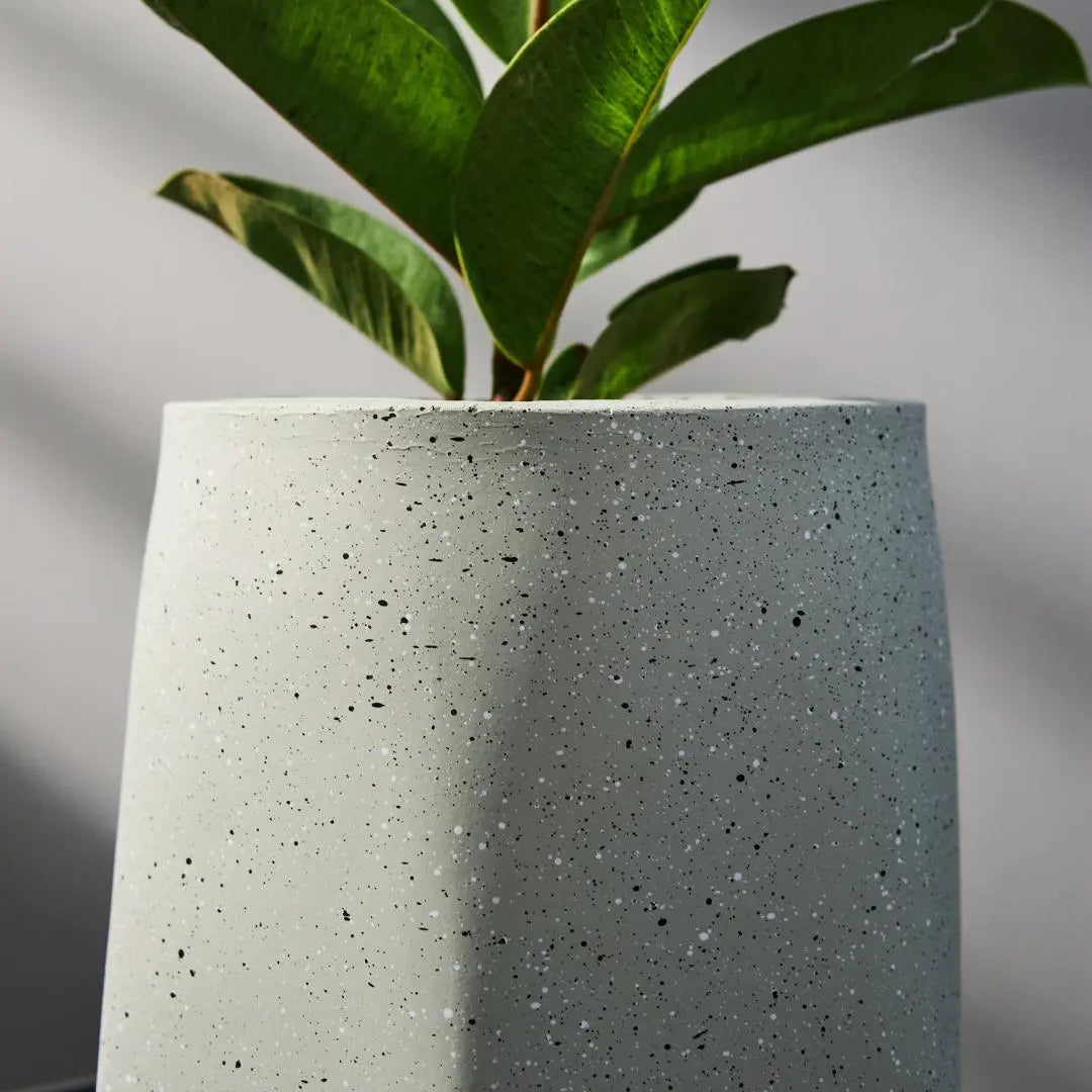 Pylota Concrete Flower Pot-Speckled Space