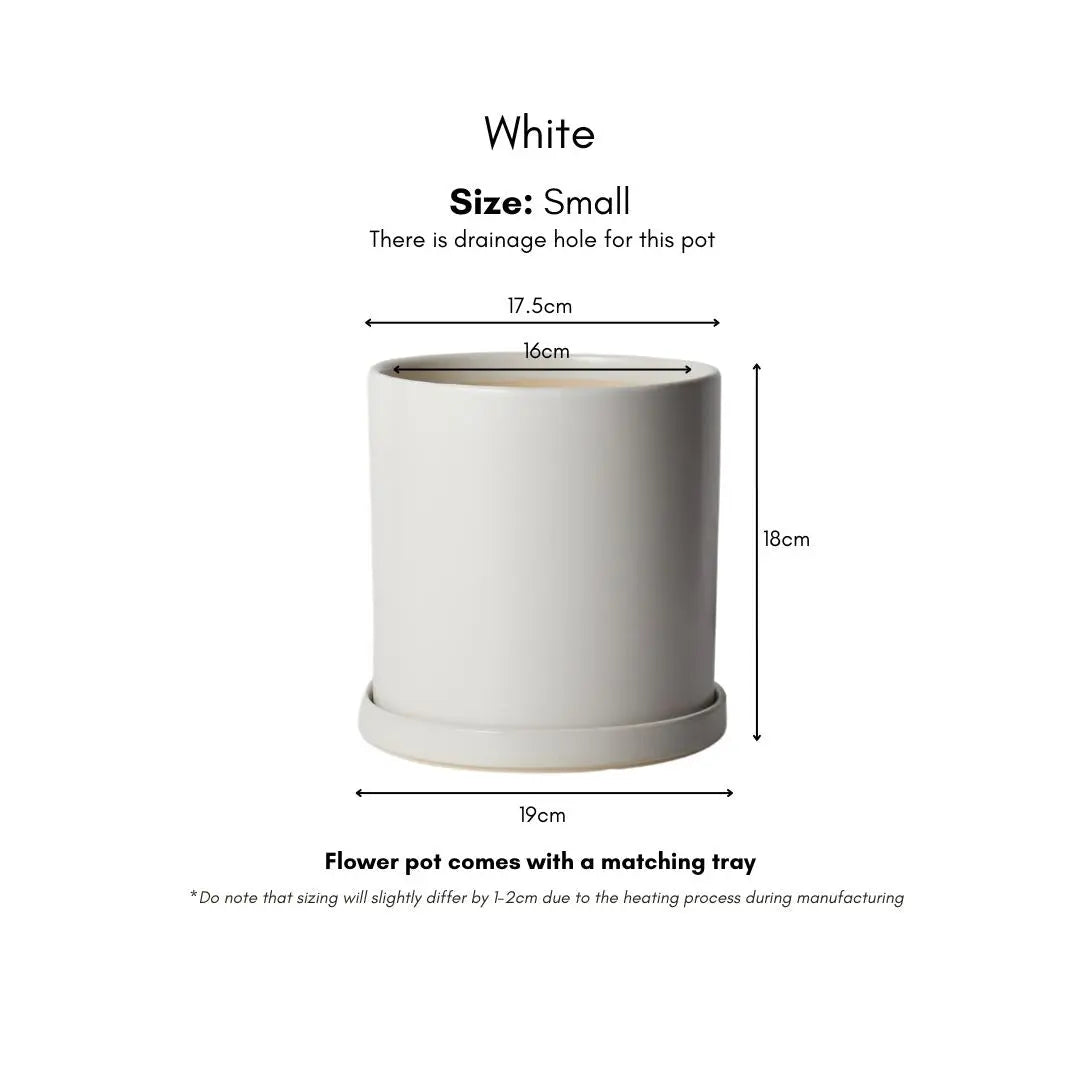 Benedic Ceramic Flower Pot-Speckled Space