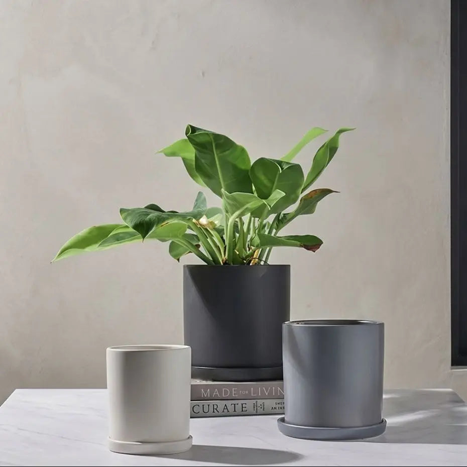 Ava Ceramic Flower Pot My Store