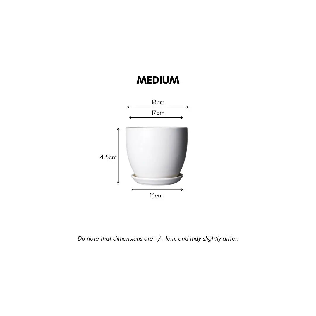 Joe Ceramic Flower Pot-Speckled Space