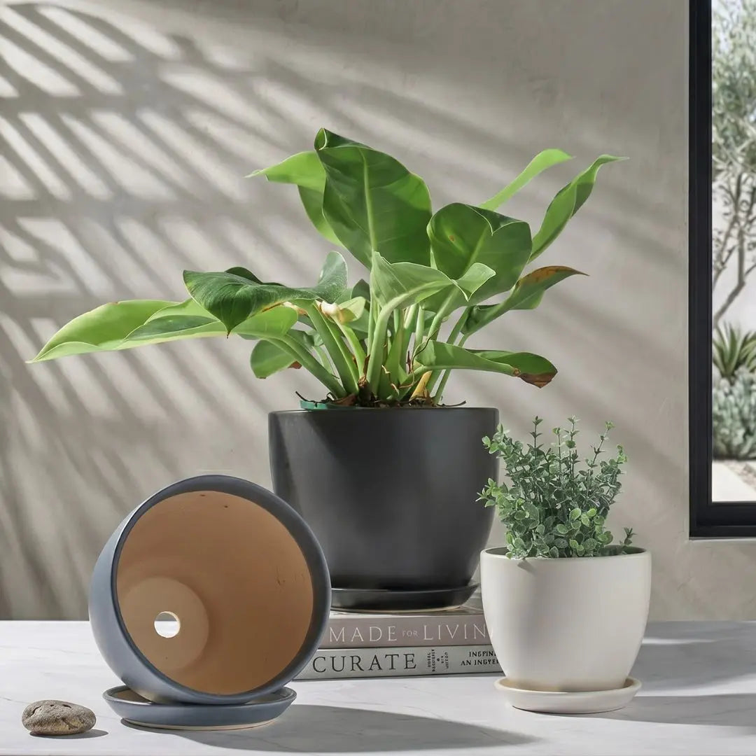 Joe Ceramic Flower Pot My Store