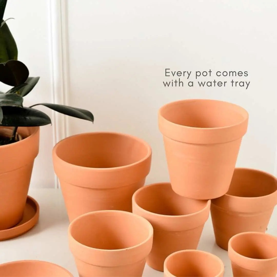 Bundle Set Terracotta Pottery Pots-Speckled Space