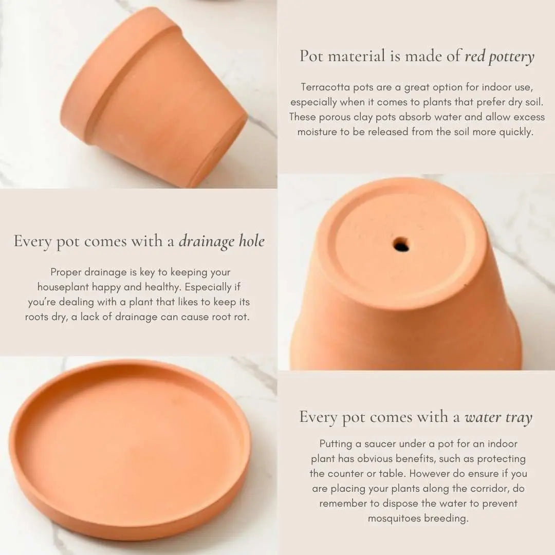 Bundle Set Terracotta Pottery Pots-Speckled Space