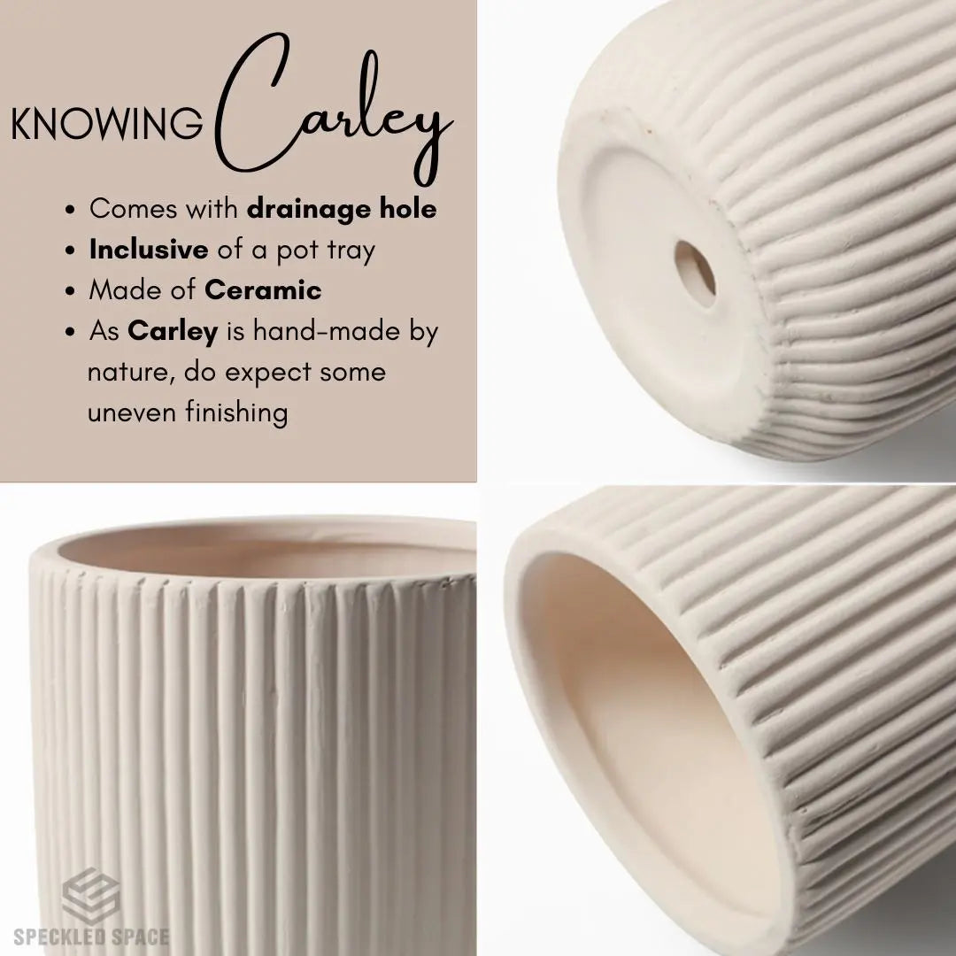 Carley Ceramic Flower Pot-Speckled Space