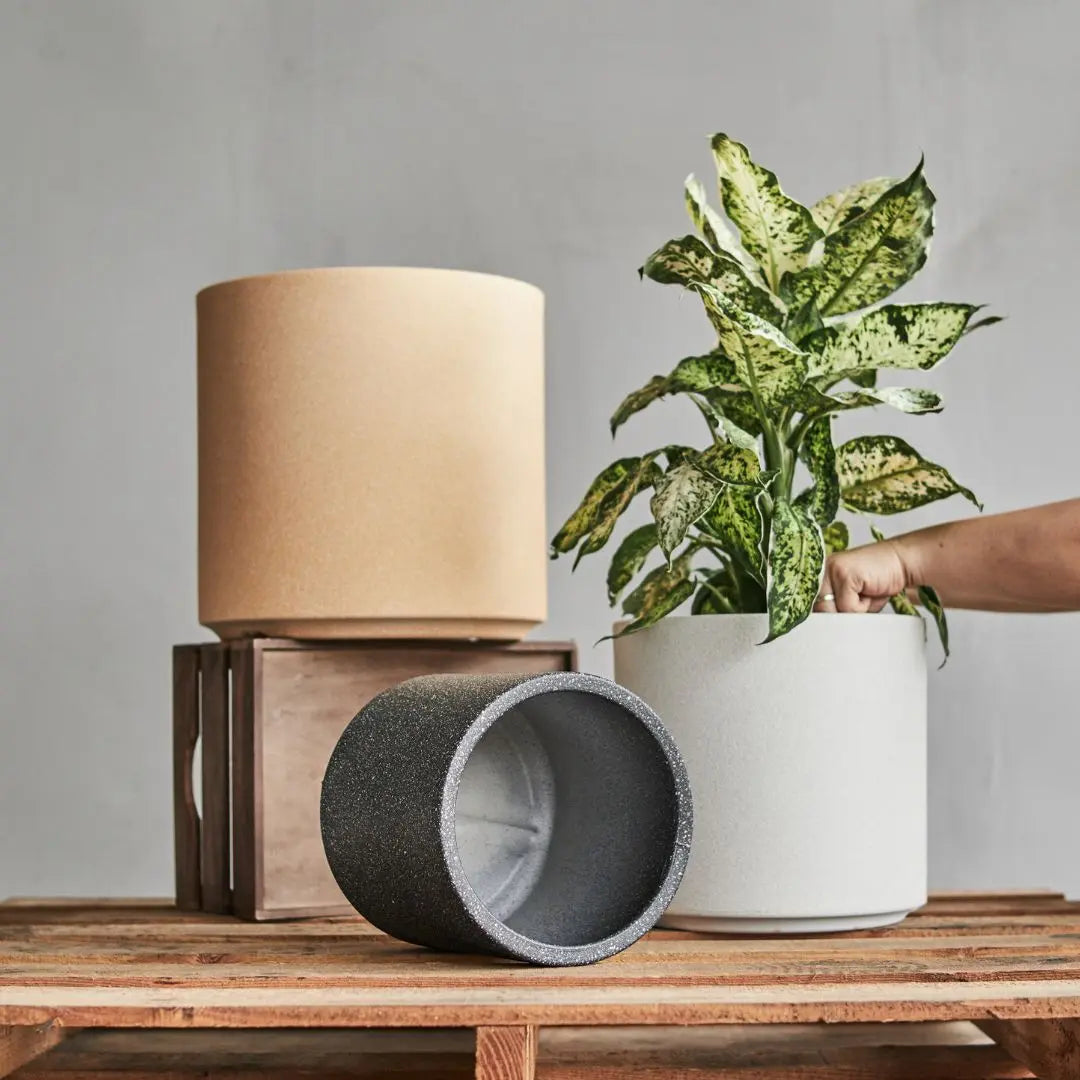 Eza PP Plastic Flower Pot | Light & Stylish Plant Container