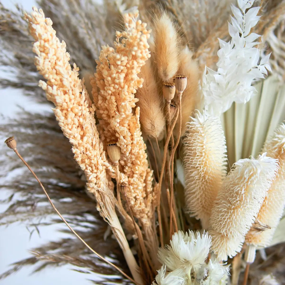 Dried Floral Pampas Arrangement C Speckled Space