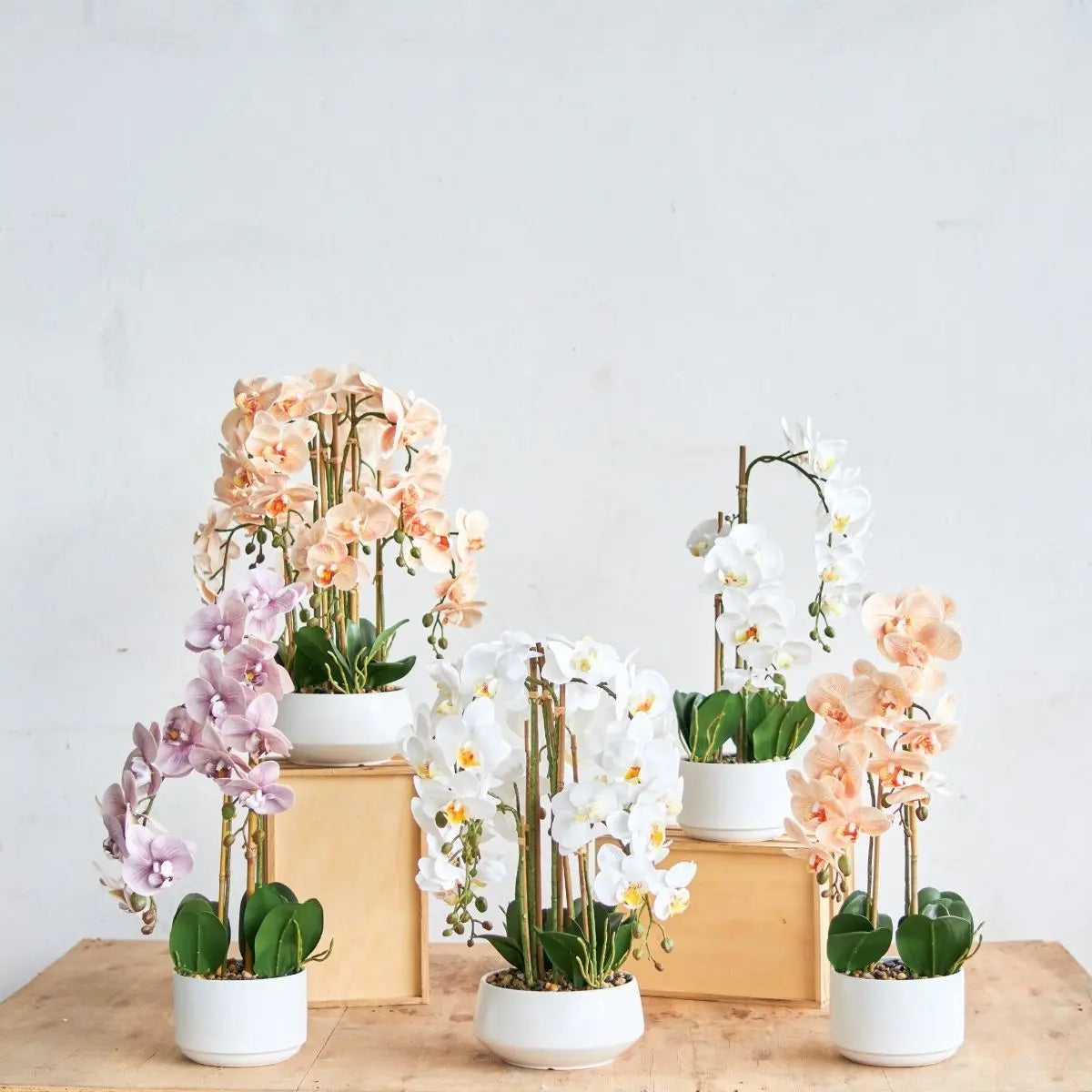 Faux Orchid Floral Arrangement Speckled Space