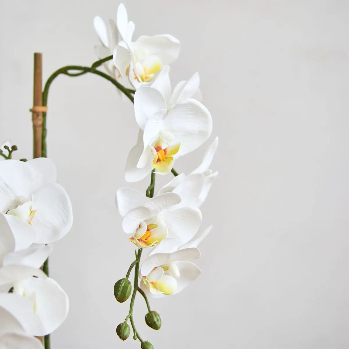 Faux Orchid Floral Arrangement Speckled Space
