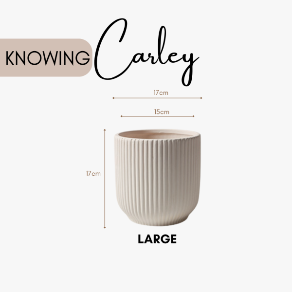 Carley Ceramic Flower Pot