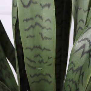 Artificial Sanseveria Plant (Single Colour) - 89cm