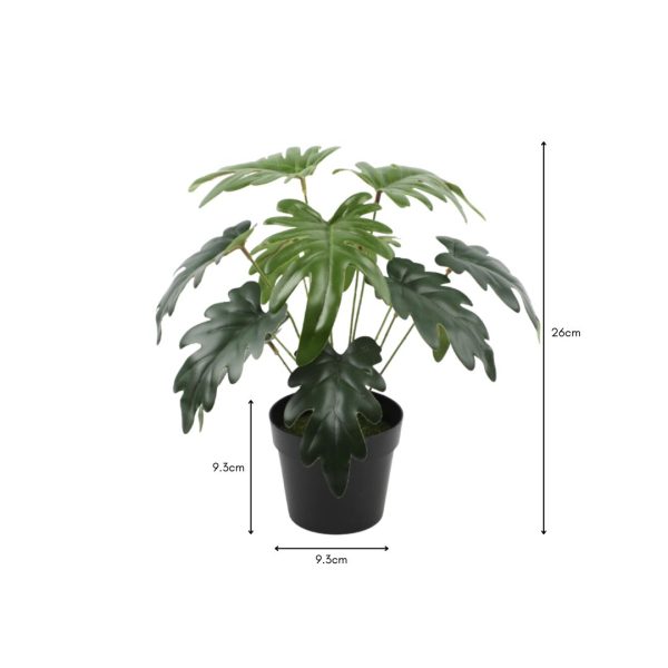 Small Artificial Philodendron Plant