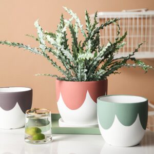 Naomi Ceramic Flower Pot