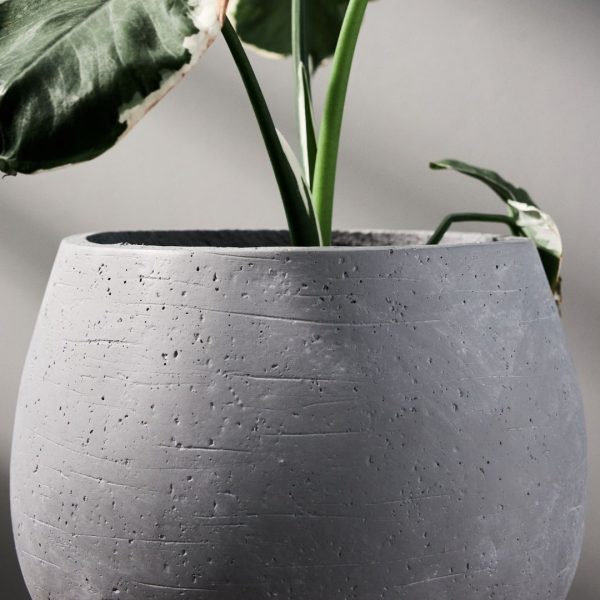 Pylota Concrete Large Flower Pot