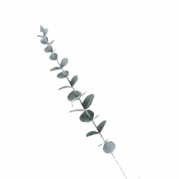 Artificial eucalyptus leaf