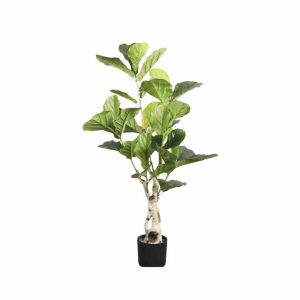 Artificial Ficus Plant - 1.15m