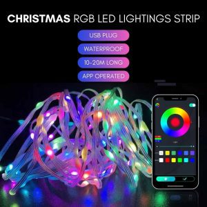LED Christmas Lighting