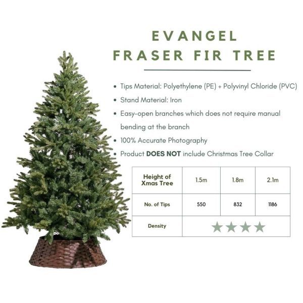 Evangel Fraser Fir Faux Christmas Tree